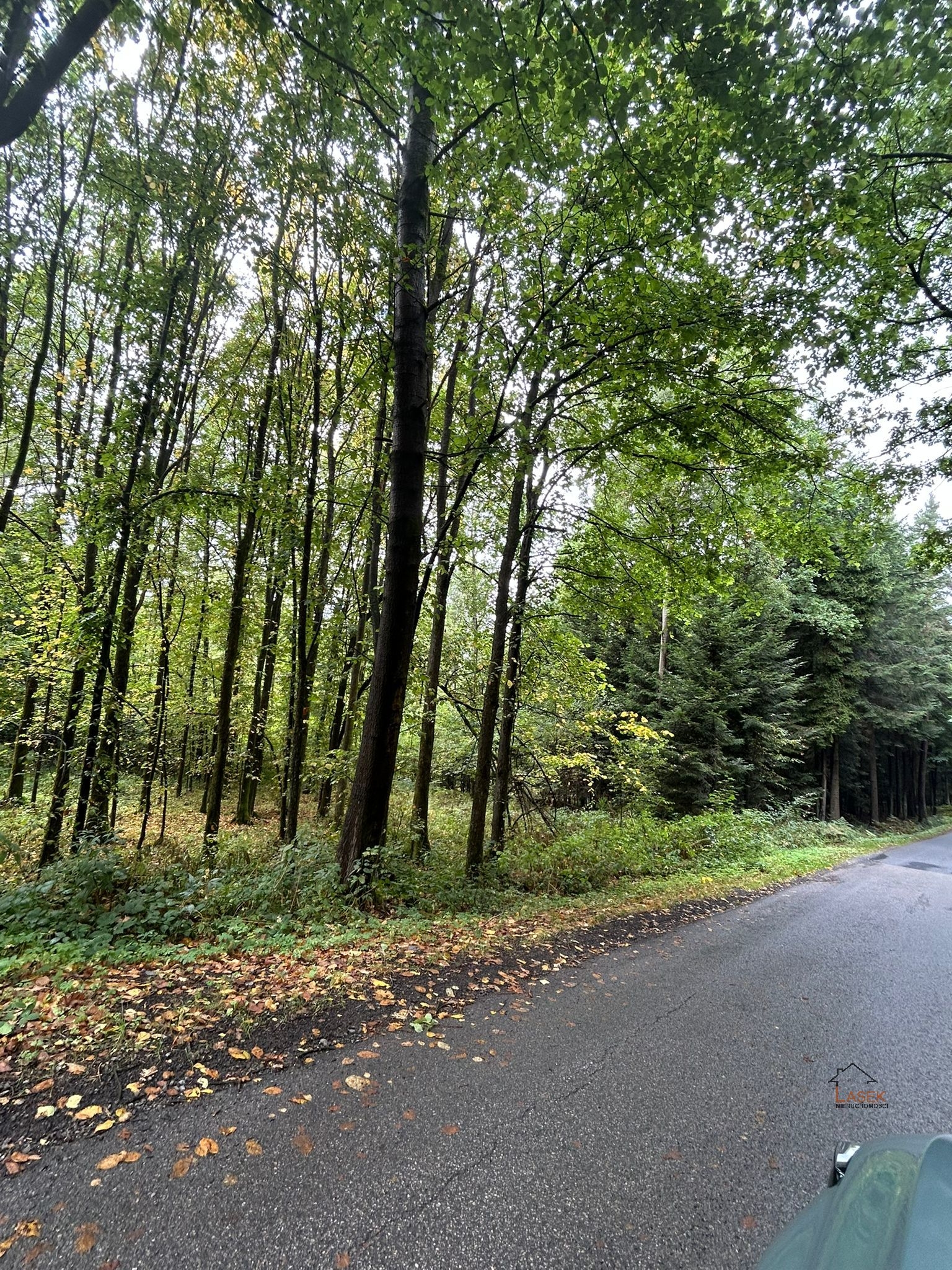 Działka na sprzedaż Wysoka - oferta 1794