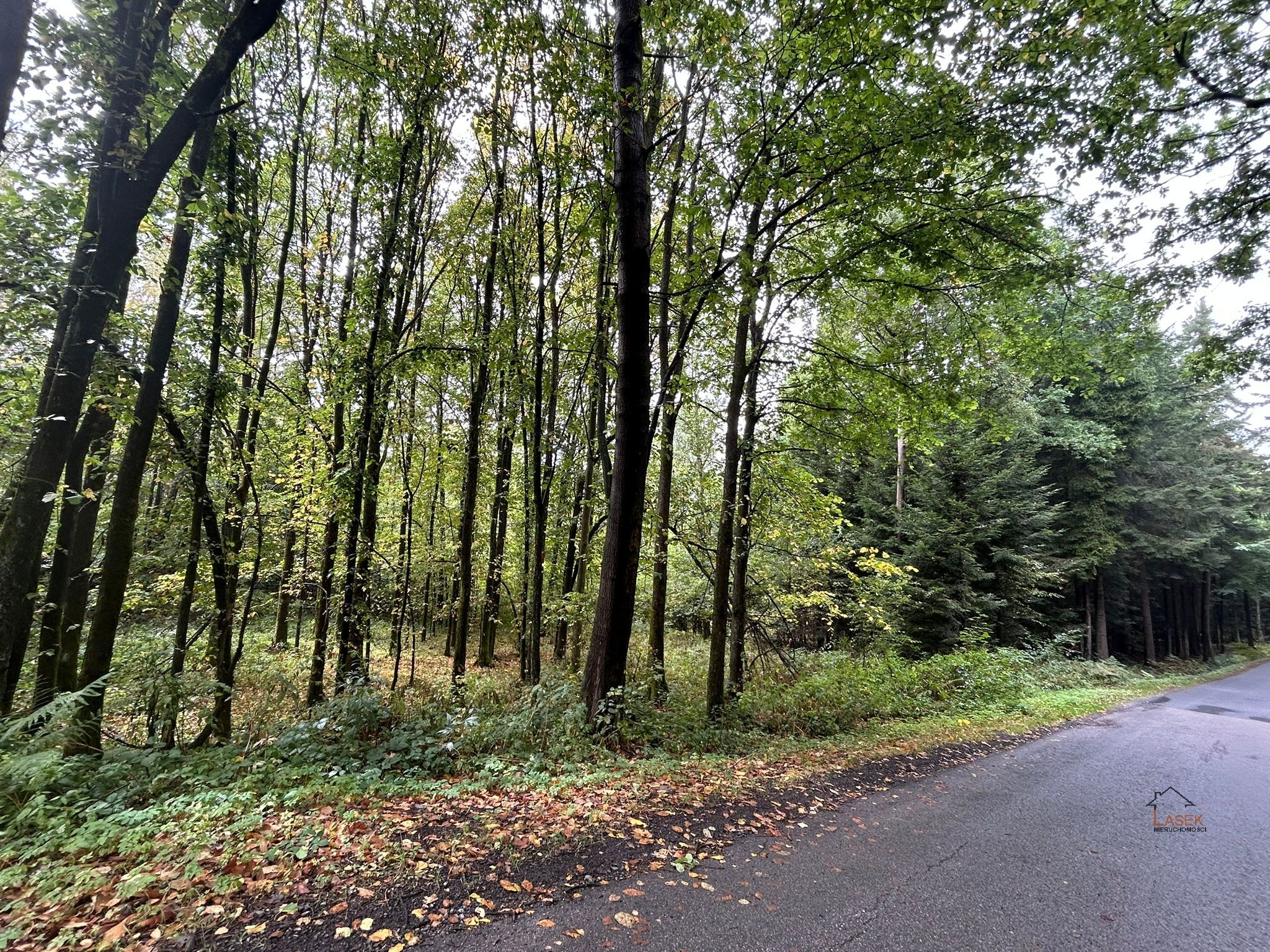 Działka Na sprzedaż Wysoka - oferta 1794