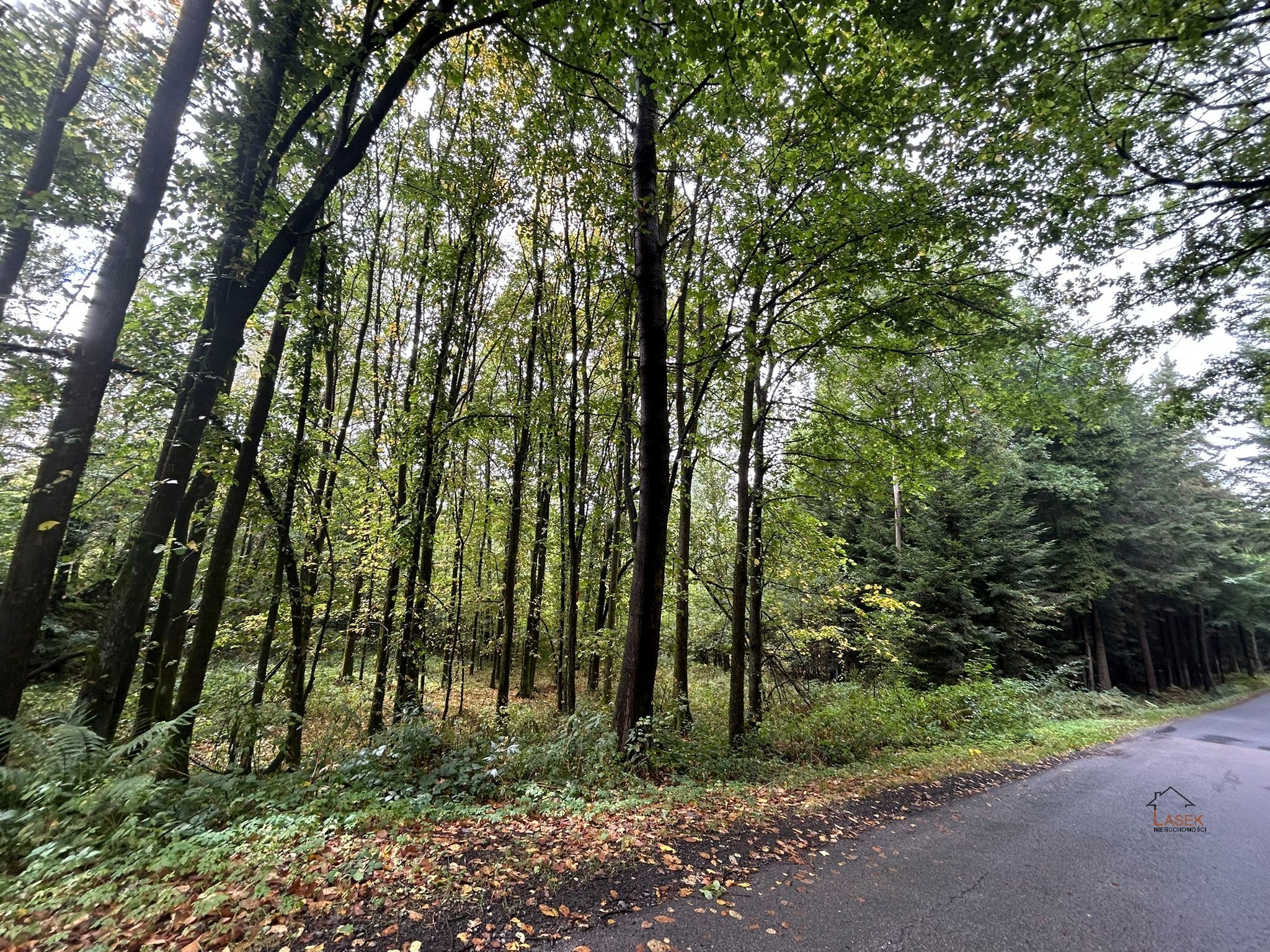 Działka Na sprzedaż Wysoka - oferta 1794