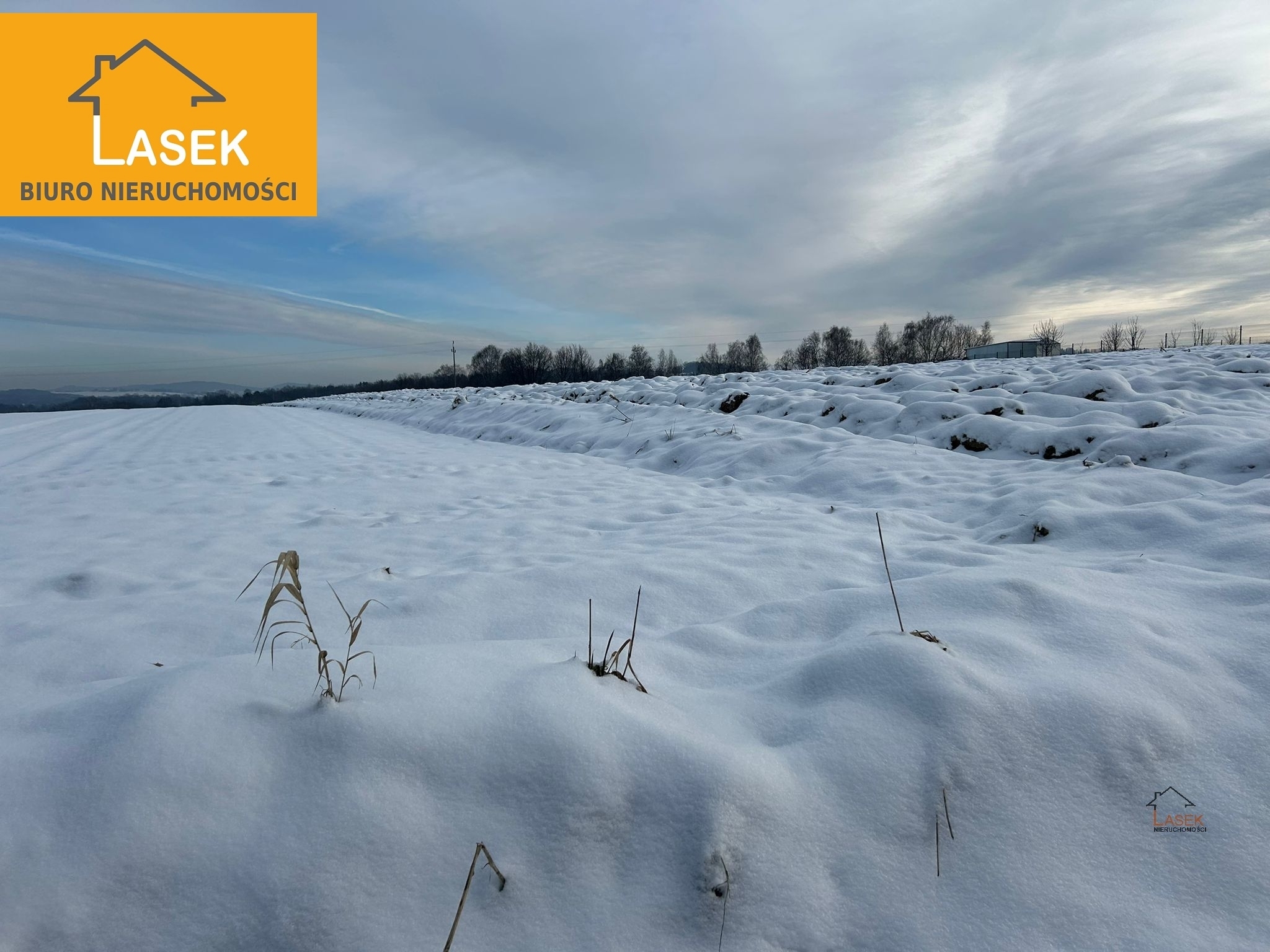 Działka na sprzedaż Przybradz - oferta 1803