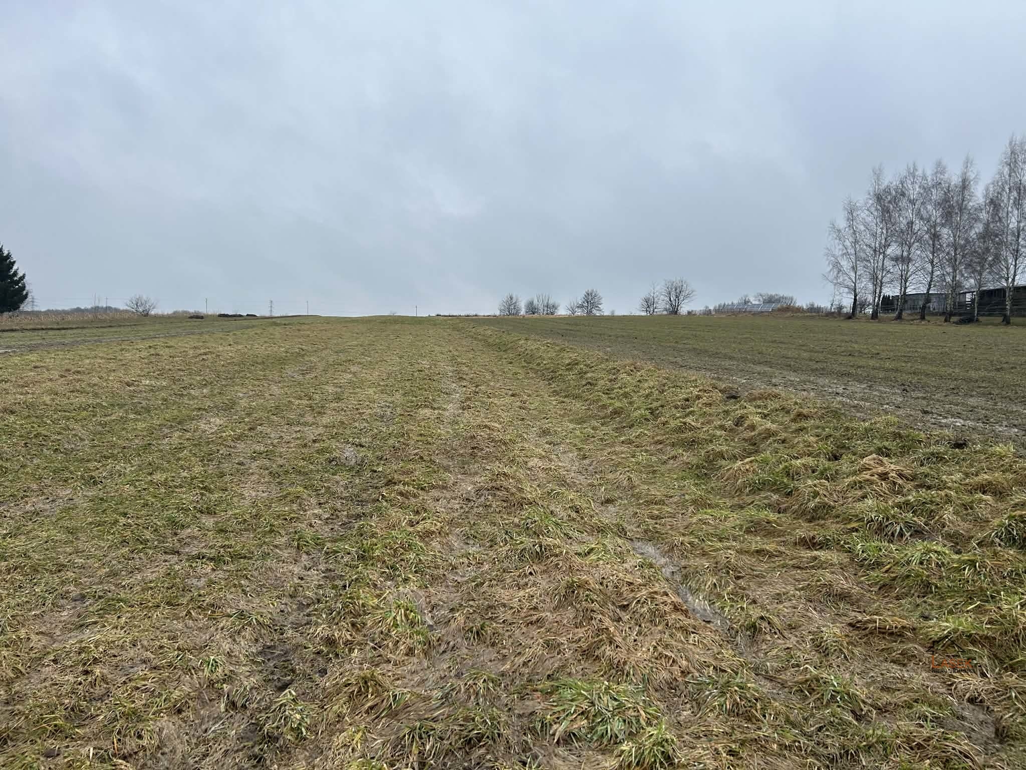 Działka na sprzedaż Chocznia - oferta 1810