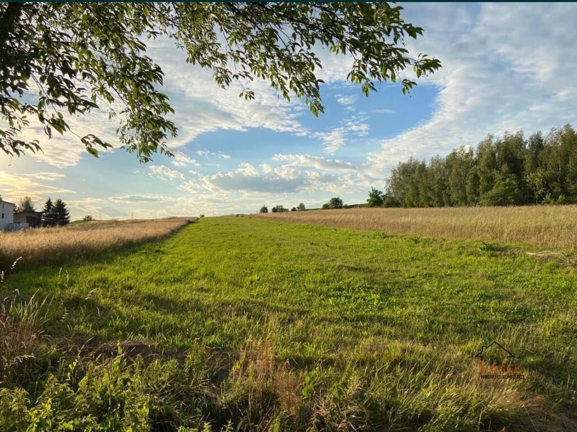 Działka Na sprzedaż Chocznia - oferta 1810