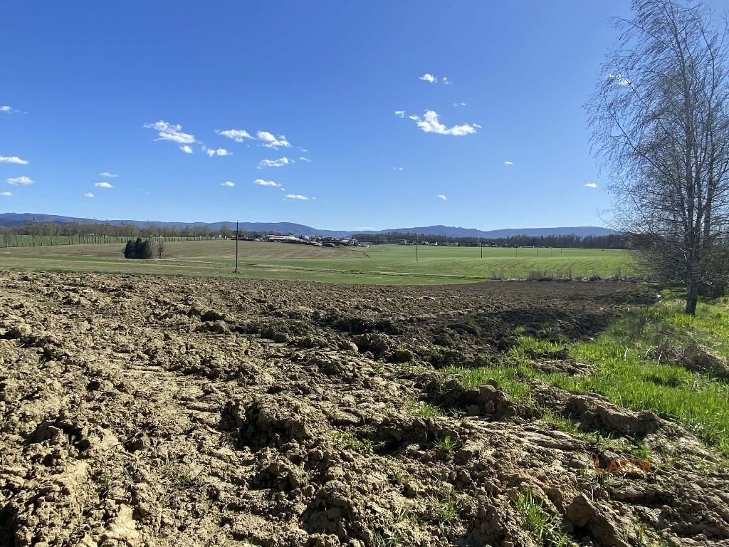 Dom Na sprzedaż Nidek - oferta 1820